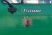 SH-39182 - MB Unimog U 5000 - ZumiLa