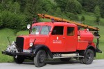 Tulln an der Donau - NÖ Landes-Feuerwehrschule - TLF (a.D.)