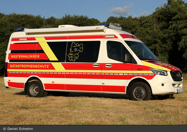 Kater Westerwald 11