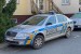 Chvaletice - Policie - FuStW - 2E2 5761 (a.D.)