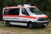 Kater Brandenburg 01/19-04