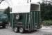 BP55-874 - Auwärter - Pferdetransportanhänger