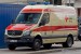 Kater Rostock 93/85-04