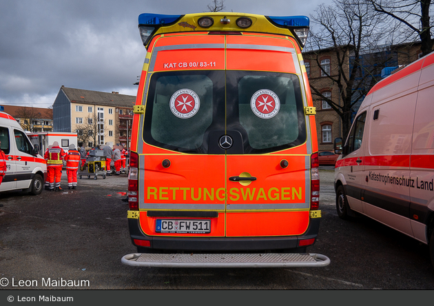 Kater Cottbus 00/83-11