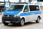 DD-Q 1919 - VW T6 4motion - HGruKw