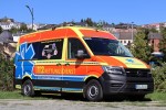 Rettung Greiz 19/85-01
