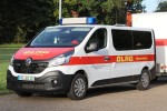 Pelikan Friesland 71/19-01