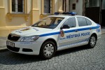 Mělník - Městská Policie - FuStW - 9S8 9596