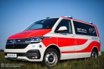 VW T6.1 4Motion - BINZ - NEF (a.D.)