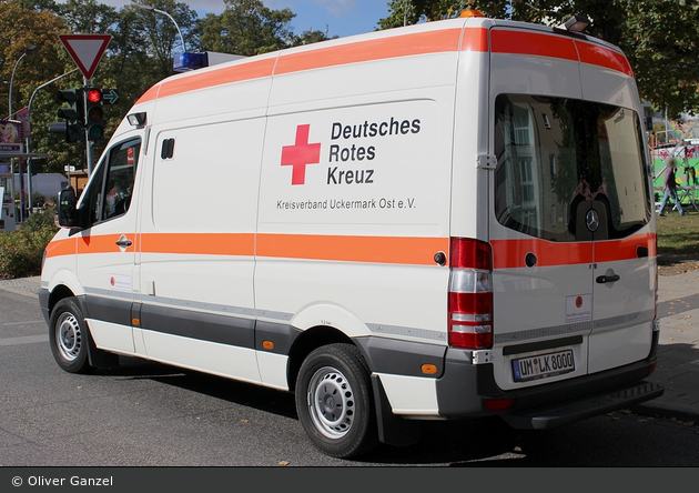 Kater Uckermark 00/85-03
