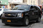 FDNY - Bronx - CAR 10 - Borough Command - KdoW