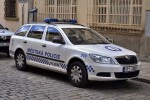 Plzeň - Městská Policie - FuStW - 310