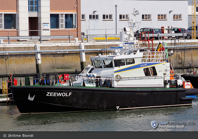 Zeebrugge - Administratie van de Douane en de Accijnzen - Zollboot "ZEEWOLF" (a.D.)
