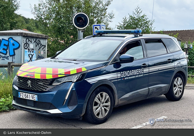 Saint-Dié-des-Vosges - Gendarmerie Nationale - FuStW