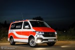 VW T6.1 4Motion - BINZ - NEF (a.D.)