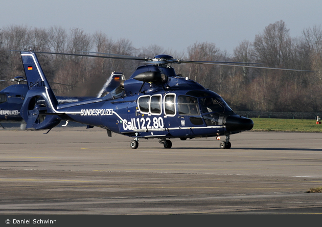D-HLTL (C/N: 6599)