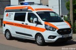 Kater Nordsachsen 41/11-01