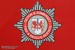 Somerton - Devon & Somerset Fire & Rescue Service - WrL (a.D.) - Wappen