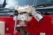 Holzdorf - Feuerwehr - FlKfz Schwer