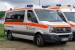 Kater Spree-Lausitz 03/19-01