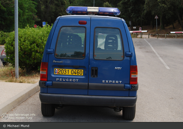 Remoulins - Gendarmerie Nationale - VP - FuStW