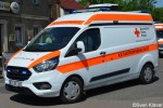 Kater Nordsachsen 41/11-01