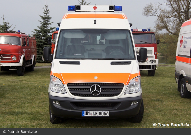 Kater Uckermark 00/85-06