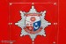 Winchester - Hampshire Fire & Rescue Service - ICU - Wappen (a.D.)
