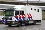 Amsterdam - Politie - Unit Bereden Politie - PftraKw