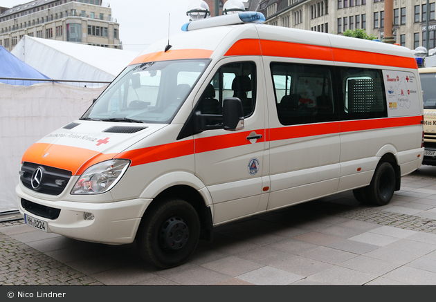 Kater Hamburg 80/92-05 (HH-8224)