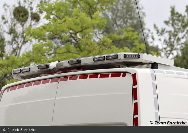 Kater Uckermark 00/19-01