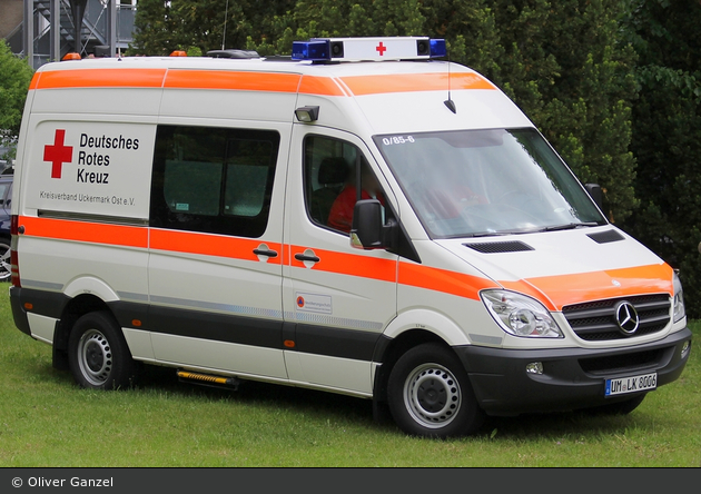Kater Uckermark 00/85-06