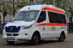 Kater Zweibrücken 52/11-01