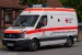 Kater Barnim 00/85-03