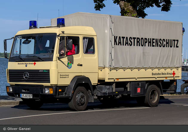 Kater Vorpommern-Rügen 88/87-01