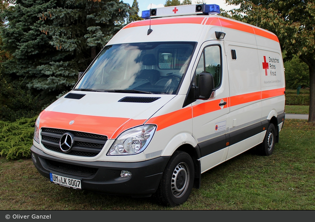 Kater Uckermark 00/85-01