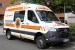 Kater Wilhelmshaven 11/94-01