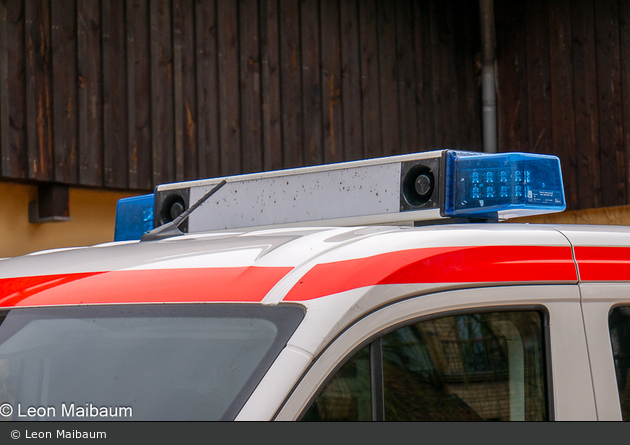 Kater Spreewald 00/19-04