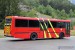 Domat/Ems - WF Ems-Chemie / Tamins - Bus - 115