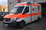 Rotkreuz Landau 43/83-01 (a.D.)