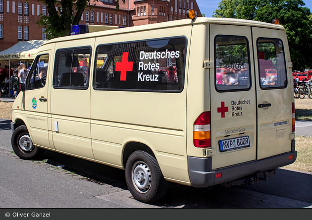 Kater Vorpommern-Rügen 88/88-03