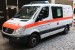Kater Hamburg 81/18-01 (HH-8822)