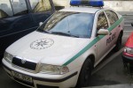 ohne Ort - Policie - FuStW - 3S4 0935