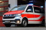 VW T6.1 4Motion - BINZ - NEF (a.D.)