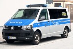 DD-Q 1437 - VW T6 4motion - HGruKw